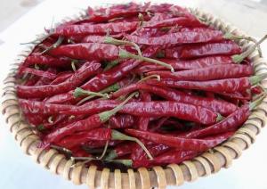 China dried red yunnan chili on sale 