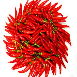 20000SHU Sanying Tianjin Red Chilies HACCP KOSHER Certificate