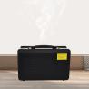 China 14ml/h Mist Output Aroma Diffuser Machines Made of Metal for and Long-Lasting Mist Diffusion wholesale