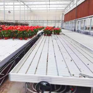 China Practical Customizable Greenhouse Rolling Tables Movable Design Pc Sheet Cover supplier