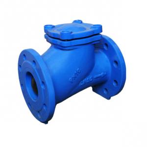 China 316 Ss Check Valve Stainless Steel Ball Check Valve Back Pressure Retention Swing Type supplier