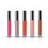 China Moisturizer Lip Makeup Products Cosmetics Matte Lipgloss 3 Years Warranty wholesale