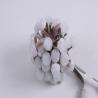 0.3W RGB Point Light Source for Christmas Decoration 50mm LED Pixel Modules