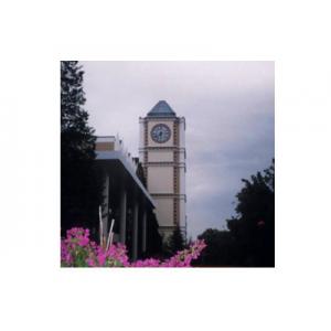 China clock tower supplier