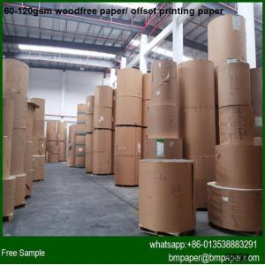 China FSC Ivory Woodfree Offset Paper Cardboard / Fbb Board supplier