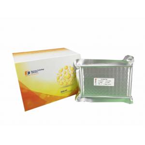 China Strong Specificity ELISA Assay Kit for Mouse ACV-A ELISA Kit 96 Wells 48 Wells supplier