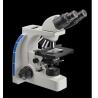 China Trinocular Biological Lcd Wireless Microscope Digital WF10X 20mm Phase Contrast wholesale