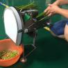 Single Head Multifunction Vegetable Cutting Machine Chopped Green Onion 220V