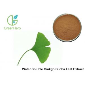 China manufacturer Total flavone glycosides 24%, Total Ginkgo lactone 6% Gingko Biloba Extract powder