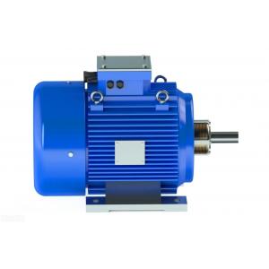 China Eco Friendly Natural Cooling 380V 3 Phase AC Motor 2 Pole Permanent Magnet Motor supplier