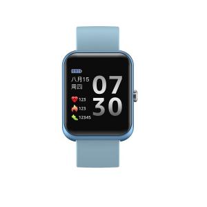 Blood Pressure 1.3" LCD Business Movement Smartwatch 170mAh