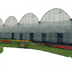 30 x 100 Vegetable Growing Film Covered Multi-span Arch Greenhouse with PO Cover