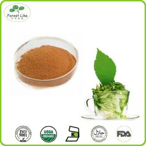 Organic Natural Green Tea Extract 98% Tea Polyphenol
