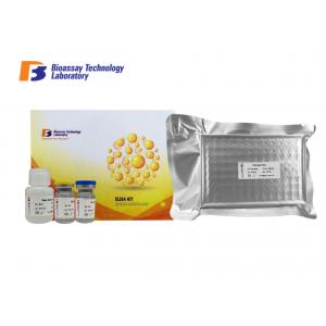 China Rat Fetuin A Elisa Assay Kit Sandwich Type With One Month Shelf Life supplier