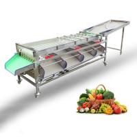 China Macadamia Nut Roasting Machine Stainless Steel Fruit Sorting Grading Machine on sale