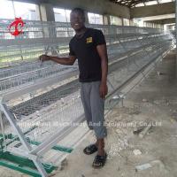 China A Or H Type Automatic And Manual Poultry Farming Cage System Design For Chicken Poultry Farming Sandy on sale