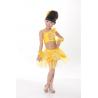 China 子供のテュルの服の女の子のダンスの性能の段階の摩耗の衣裳JQ-184 wholesale