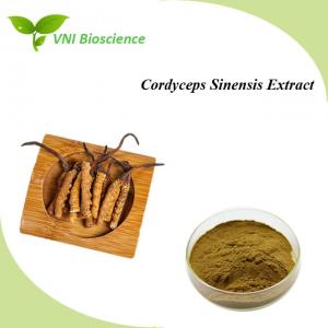 Natural Organic Cordyceps Sinensis Mushroom Extract Kosher Certified