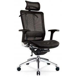 Reclining Ergonomic Home Office Chairs Mesh Bottom