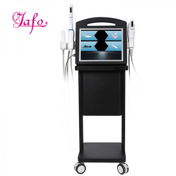 LF-407C portable 20000 shots 4 in 1 vaginal vmax 4d hifu with 12 lines for anti