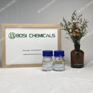 Insoluble N-Methylformamide Colorless Liquid Chemical Solvent 123-39-7