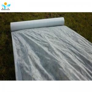 Agricultural PP Spunbond Non Woven Agriculture Cloth Splicing Extra Width