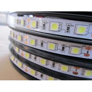 China LED Flexiable Strips SMD5050-60 IP20 DC12V white color 6000K 14.4W supplier