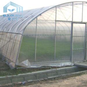 China Hydroponic System Tunnel Plastic Greenhouse with Ventilation Insect Net supplier