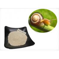 Cosmetics Grade Off White Snail Mucus Extract Powder For Face