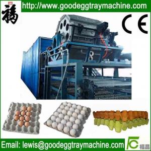 China Egg Tray/Fruit Tray/Cup Holder Machine supplier