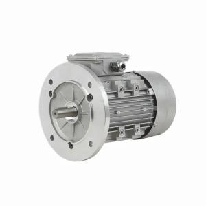 China 2800 Rpm 3 Phase Single Phase Squirrel Cage Induction Motor 960 Rpm 900 Rpm supplier