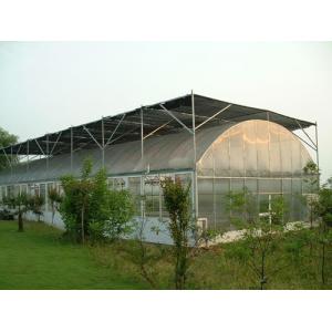 Vegetable Single Span Greenhouse , Gothic Arch Greenhouse Low Thermal Conductivity