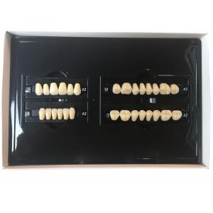 Plastic Polymer Dental Acrylic Resin Teeth A1 A3 2 Layers Dental Composite Resin