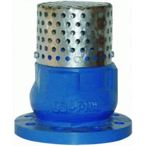 Low Pressure 4 Flanged Foot Valve , PN16 Oil Cast Iron Foot Valve