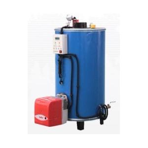 Vertical Gas Fired Hot Water 90% Small Steam Boiler For Hotel