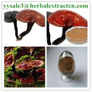 reishi mushroom series: Reishi slices, Reishi Mushroom Extract polysaccharide 20% triterpenoids1% , Manufacture