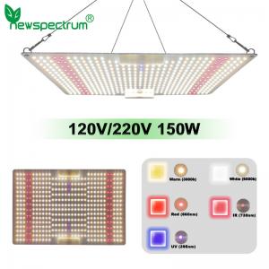 LED Indoor Grow Lights 650W 5000K Energy Saving For Plants Flowers