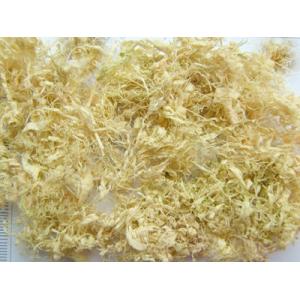 high quality bamboo leaf extract,bamboo shavings extract powder,natural bamboo extract