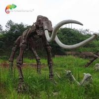 China weather reistance Real Size Replica Animal Skeletons Mammuthus Model on sale