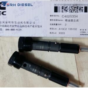 China Cummins B5.9 engine marine diesel engine fuel injector 4025334 4063321 4063212 supplier
