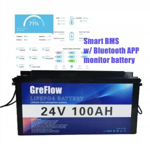6000 Times 2560WH 24V Lifepo4 Battery Pack 24V 100Ah With Prismatic Cell