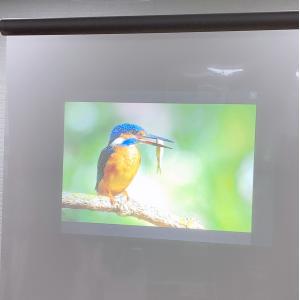 Holographic Self Adhesive Rear Projection Window Film Hologram 3D Display