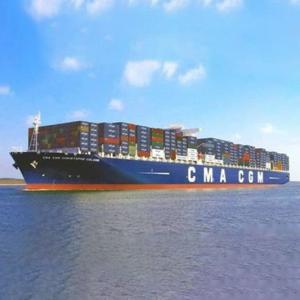 China Sensitive Item International Cargo Iran Sea Door To Door Container Shipping Customs Clearance Expertise