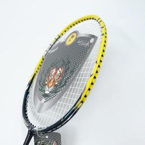 China Badminton Racket DMS45 Yellow Color Set Free Design OEM Customization