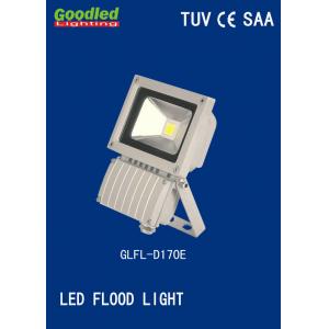 China Waterproof IP65 Outdoor LED Flood Light 10W D170E for Supermarkets supplier