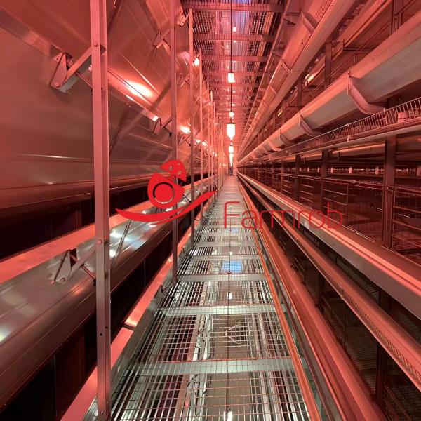 Precision Environmental Management Layer Chicken Cage System Smart Coop