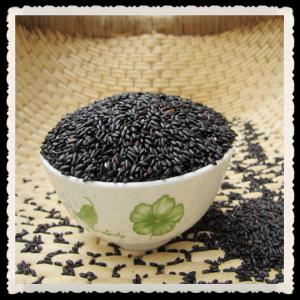 High Quality Organic Black Rice Extract