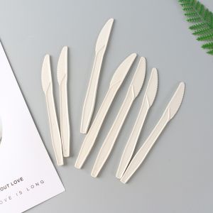 China OEM PLA Disposable Plastic Cutlery Packs Flatware Cutlery Sets Flight Spoon Fork And Knife Kit wholesale