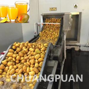 China 10000KG Concentrated Mango Pulp Processing Line For Smooth Pulping Performance supplier