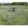 China Hot Dipped Galvanized Cattle Corral Panels Customized Sizes / Colors Available wholesale